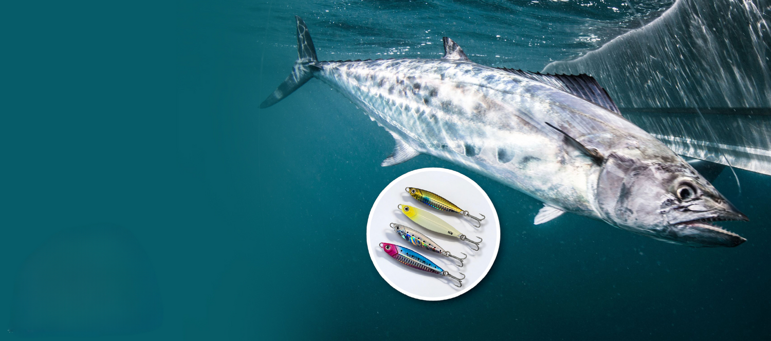 Castman Minnow Lure. Spanish Mackerel Lure. King Mackerel Jig